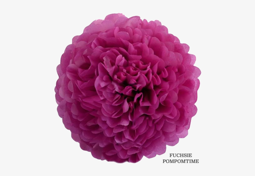Fuchsia - Pom-pom - Fuchsia Paper Pom Pom, transparent png download