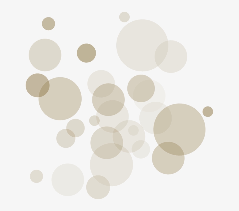 The - Circle, transparent png download