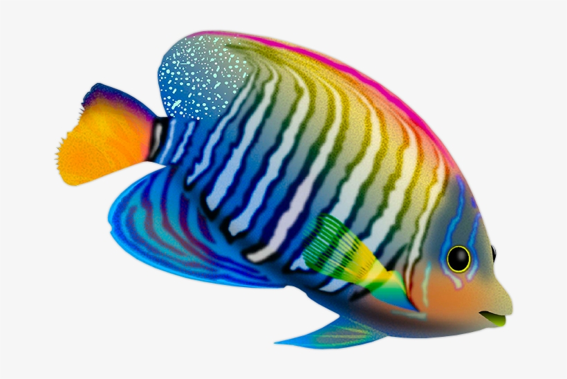 Https - //fotki - Yandex - Ru/next/users/morela4/ - Pescado De Color Png, transparent png download