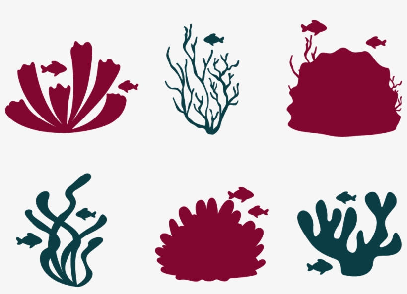 Coral Reef Fish Euclidean Vector - Coral Reef Vector, transparent png download