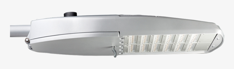 Factor - Factor Carandini, transparent png download