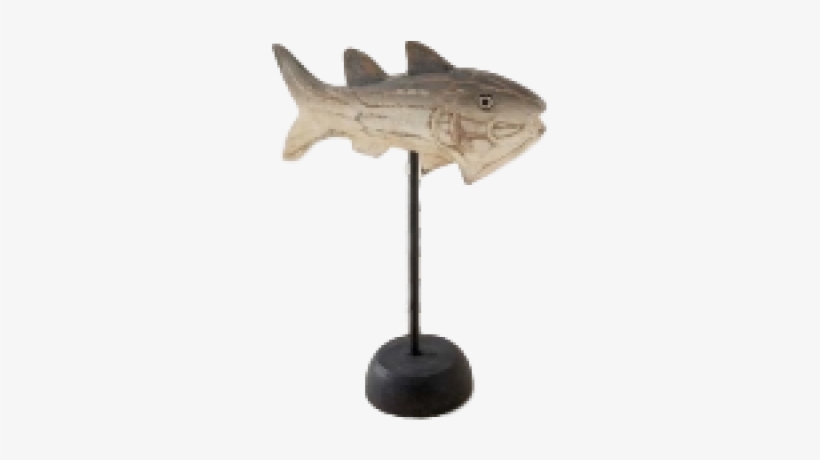 Striper Bass, transparent png download