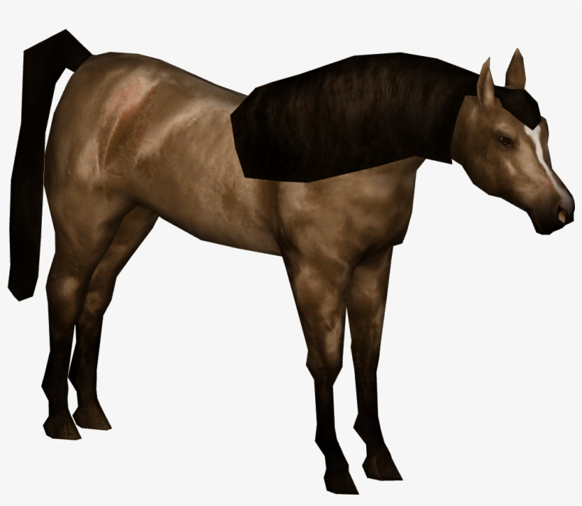 Arabian Horse 01 - Sorrel, transparent png download