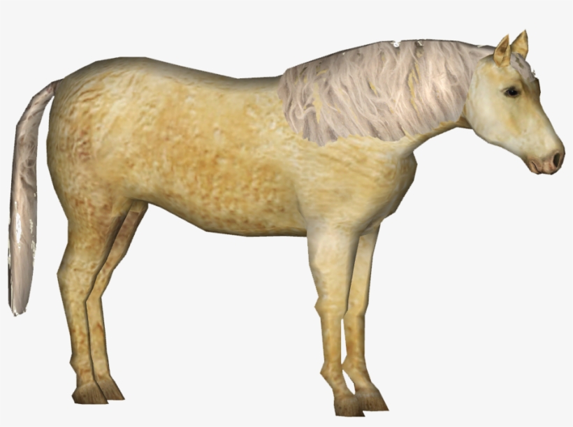 American Curly Horse - Mustang Horse, transparent png download