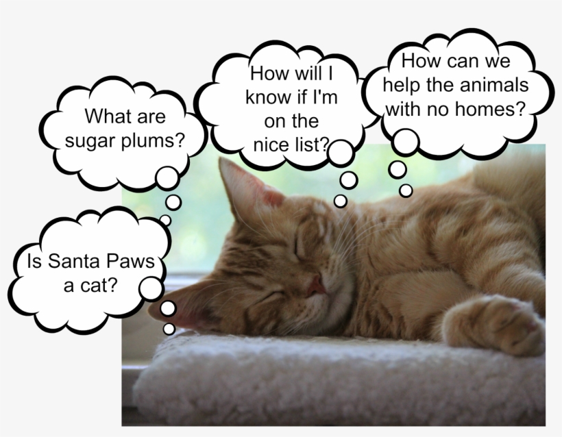 Merry Christmas - Tabby Cat, transparent png download