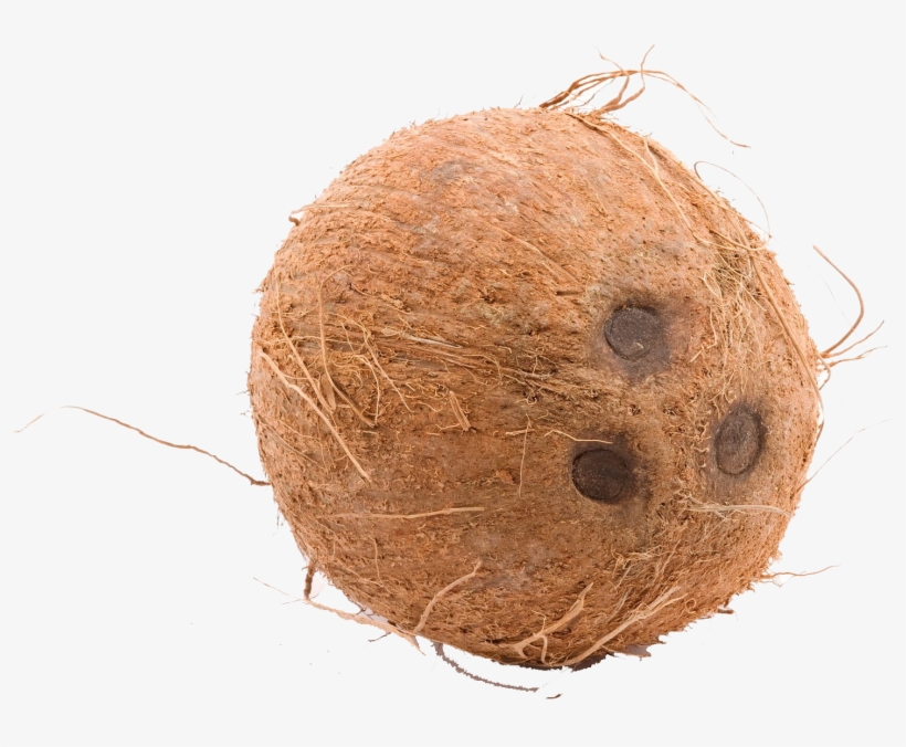 Coconut Transparent Png Image - Coconut Transparent, transparent png download