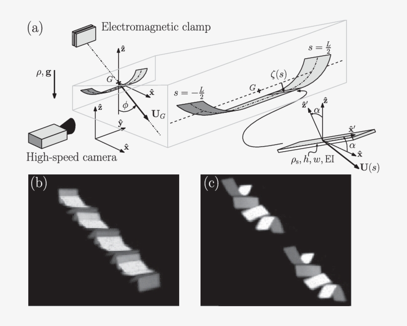 Schematic Of The Geometry Of A Falling, Tumbling, Bent - Stairs, transparent png download