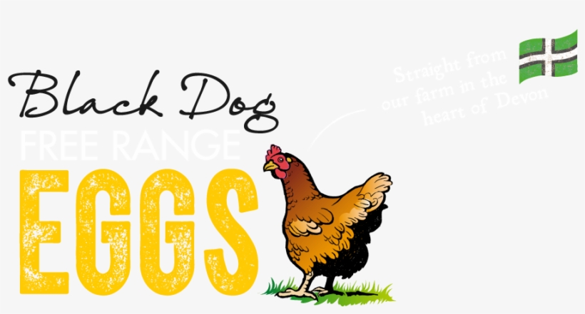 01884 - Ellingtonality 1 Compact Discs, transparent png download