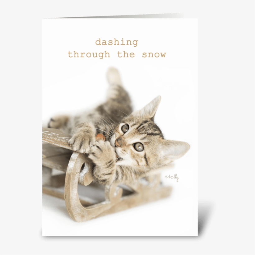 Dashing Through The Snow Christmas Kitty Greeting Card - Holiday, transparent png download