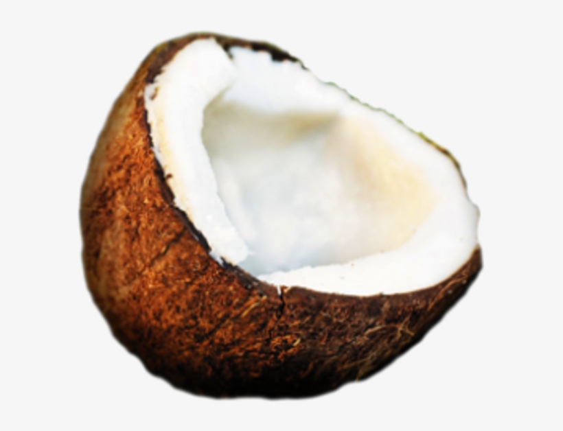 Small - Coconut Ico, transparent png download
