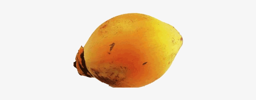 Coconut King Sri Lanka - Sri Lankan King Coconut, transparent png download