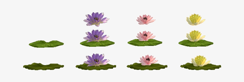 Water Lilies - Website, transparent png download