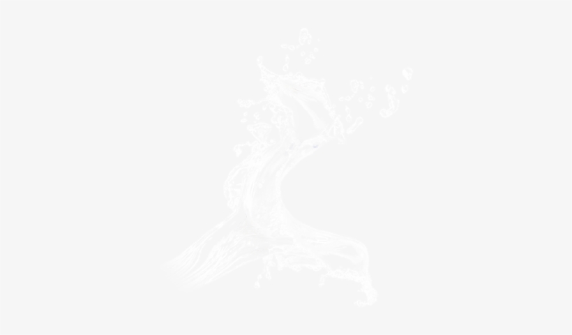 Water Splash Transparent Psd Psd Detail - Sharp Eagl Sharp Eagle Underwater Sharp Eagle Cree, transparent png download