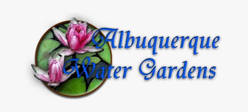 Albuquerque, transparent png download