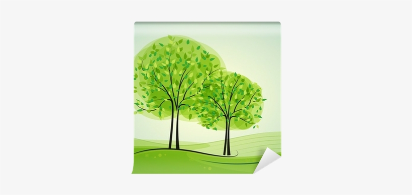 Light Is Everywhere: Sources Of Light And Its Uses, transparent png download