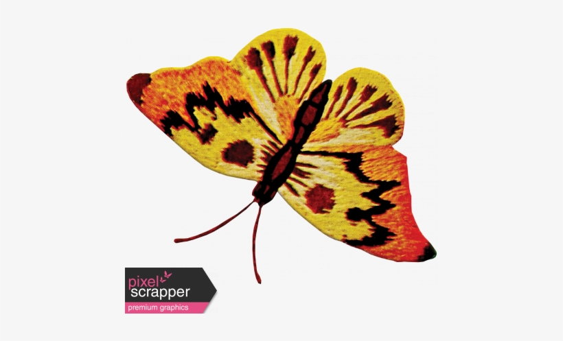 Yellow And Orange Butterfly - Embroidery, transparent png download