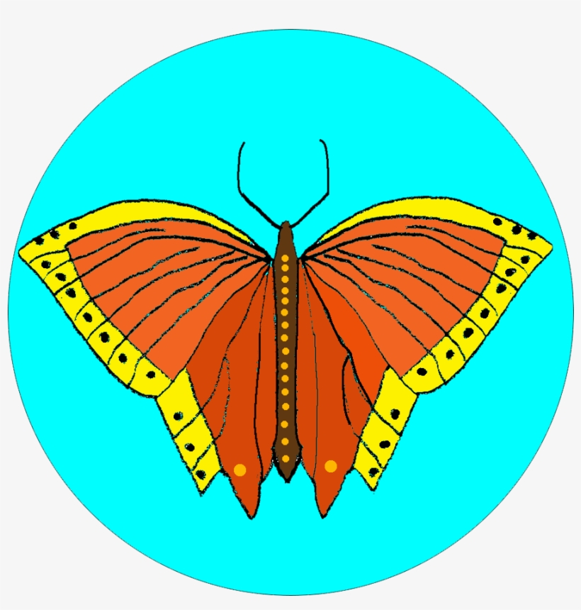 Toadstool Easy Embroidery Kit - Disk, transparent png download