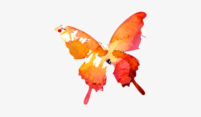 Orange-butterfly - Default Deine Eigene Clutch Mittelbraun / Capri Beach, transparent png download