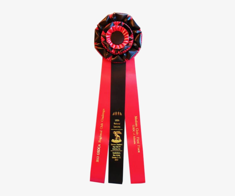 The Guardian 1st Place Awards Ribbon - 1st Place Award Ribbon, transparent png download
