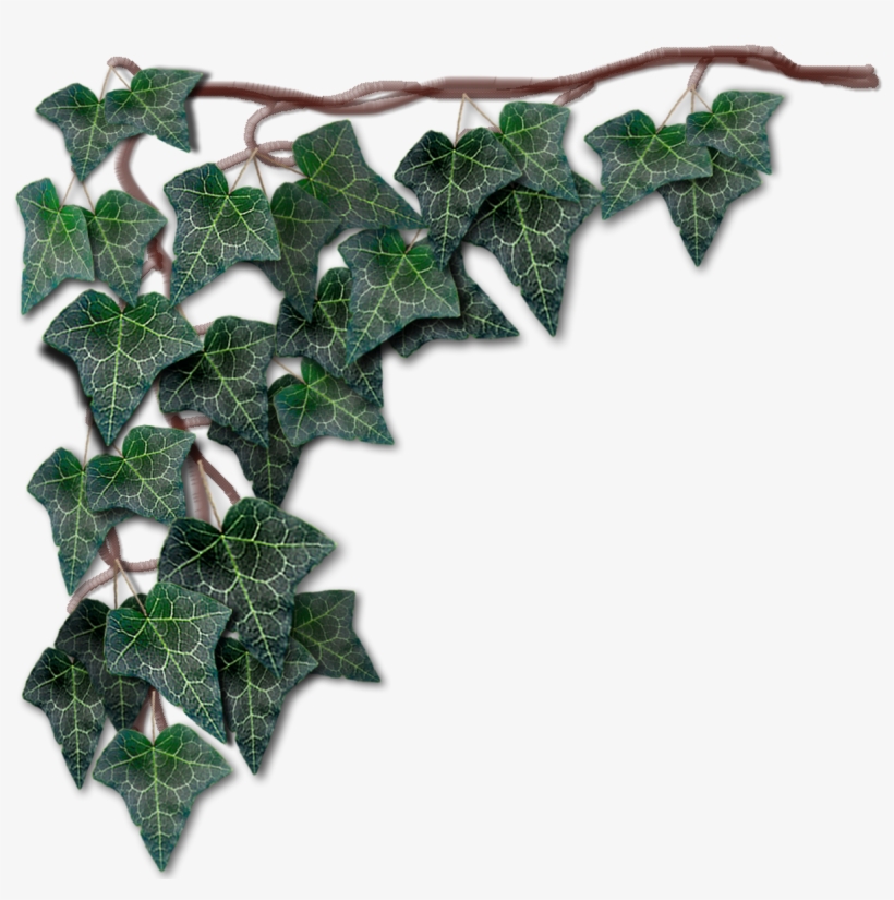 Plane, transparent png download