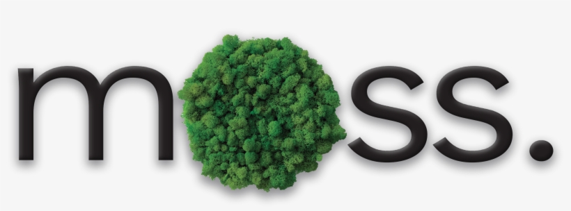 Architectural - Decorative - Branding - Unique - - Eastern Hemlock, transparent png download