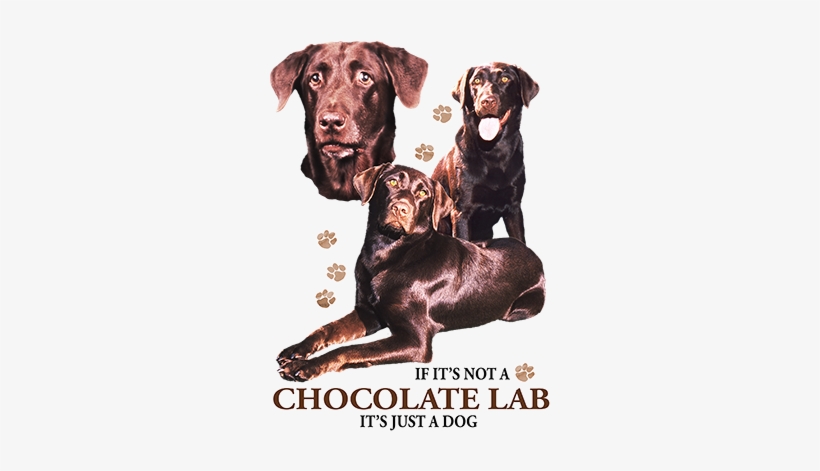 Dog, transparent png download