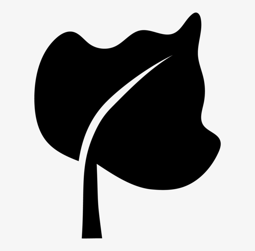 Beautiful, Functional Plant Stands That Encourage You, transparent png download