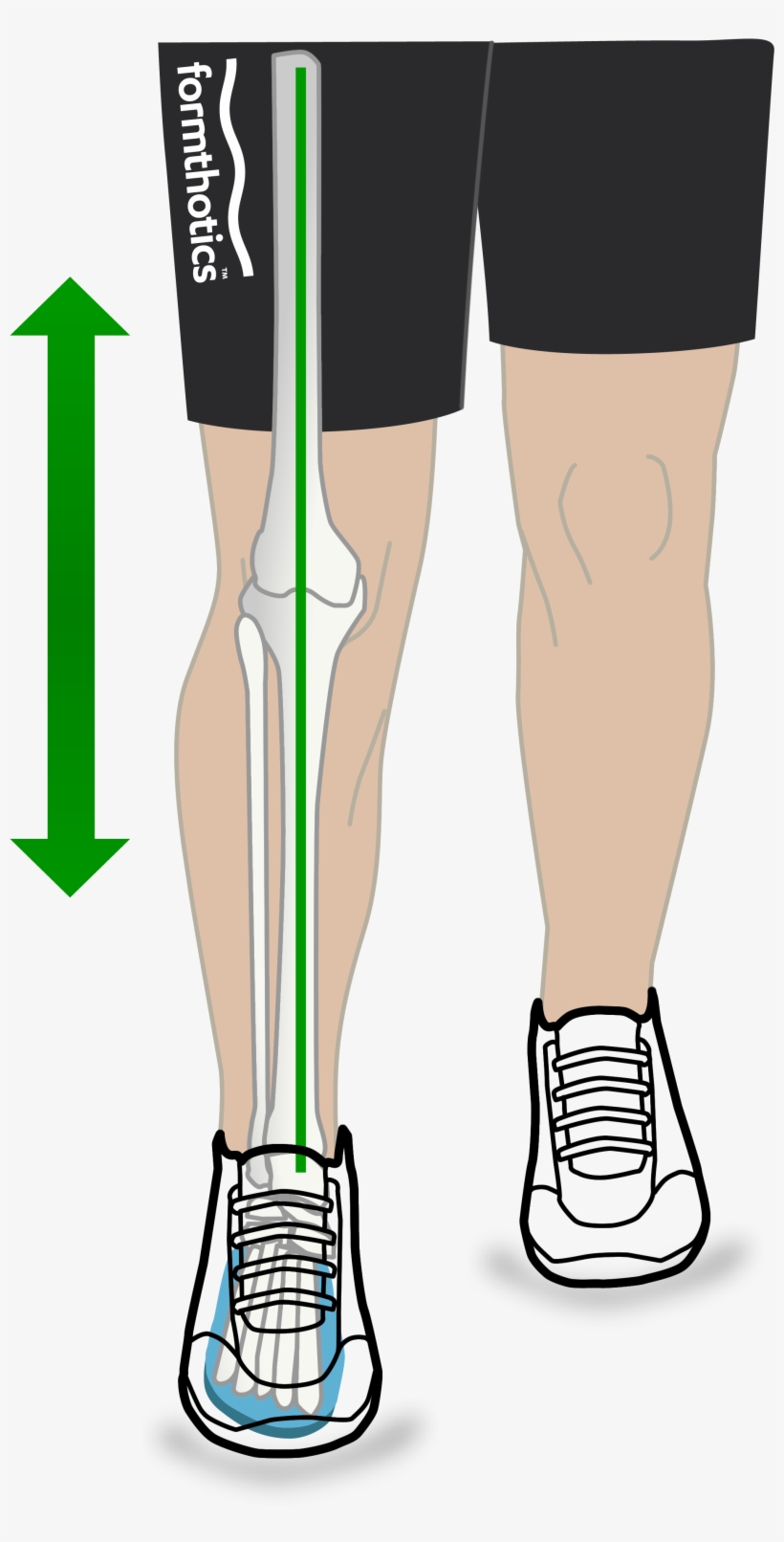 Mechanical Efficiency Diagram Walking Green - Formthotics, transparent png download