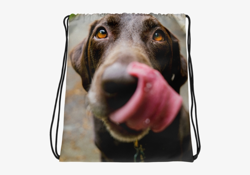 Chocolate Lab Drawstring Bag - Dog, transparent png download