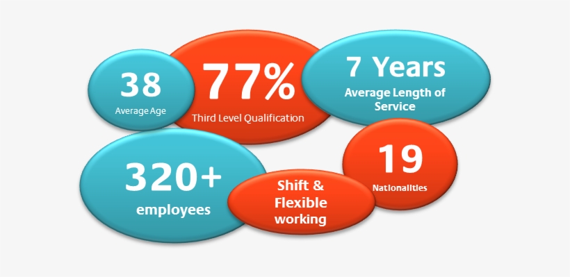 Click On The Links Below To Meet Some Of Our People - Montageservice, transparent png download