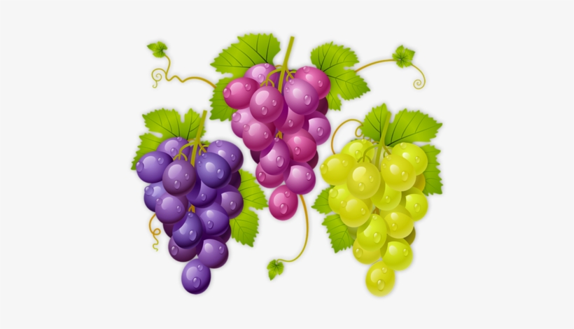2 Fruit - Imagenes D Uva, transparent png download