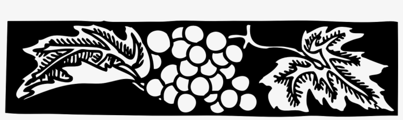 Grapes,grape Vector Graphics - Grape, transparent png download