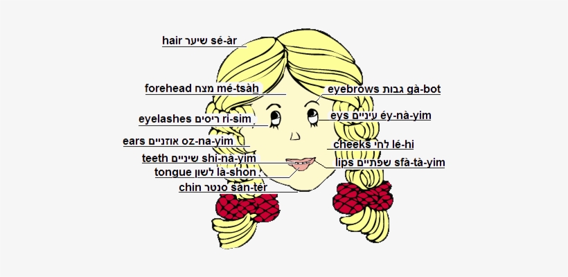 New Words - Cartoon, transparent png download