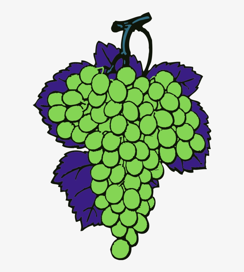 Grapes Vine Fruit - Purple Grapes Shower Curtain, transparent png download