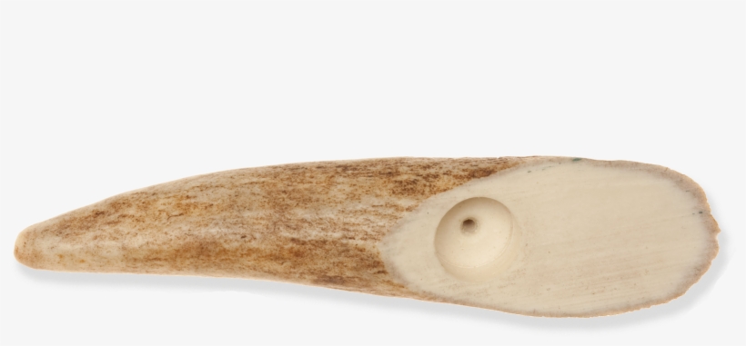 File - On-picrivermooseantler - Climbing Hold, transparent png download