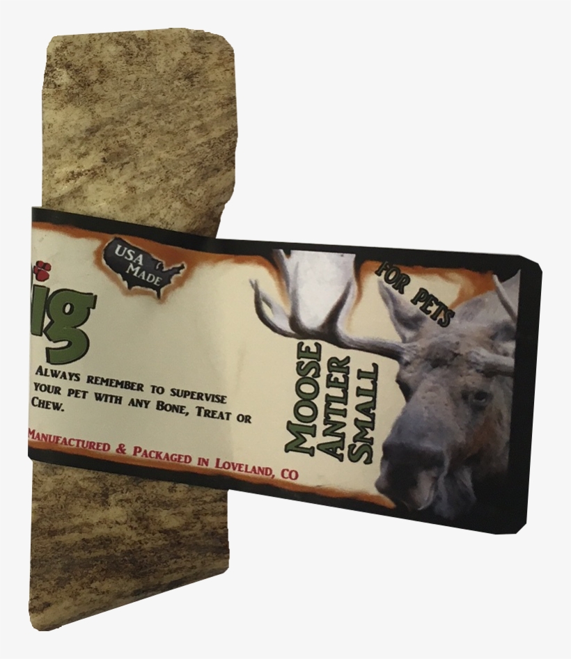 Donkey, transparent png download