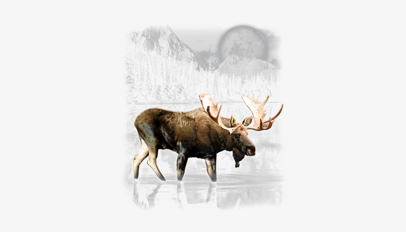 Welcome To Moose Country Mousepad, transparent png download