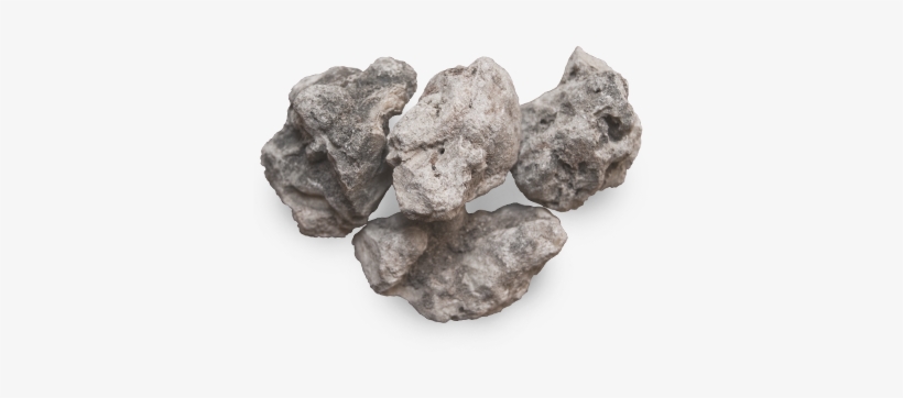Protium Grandifolium, transparent png download