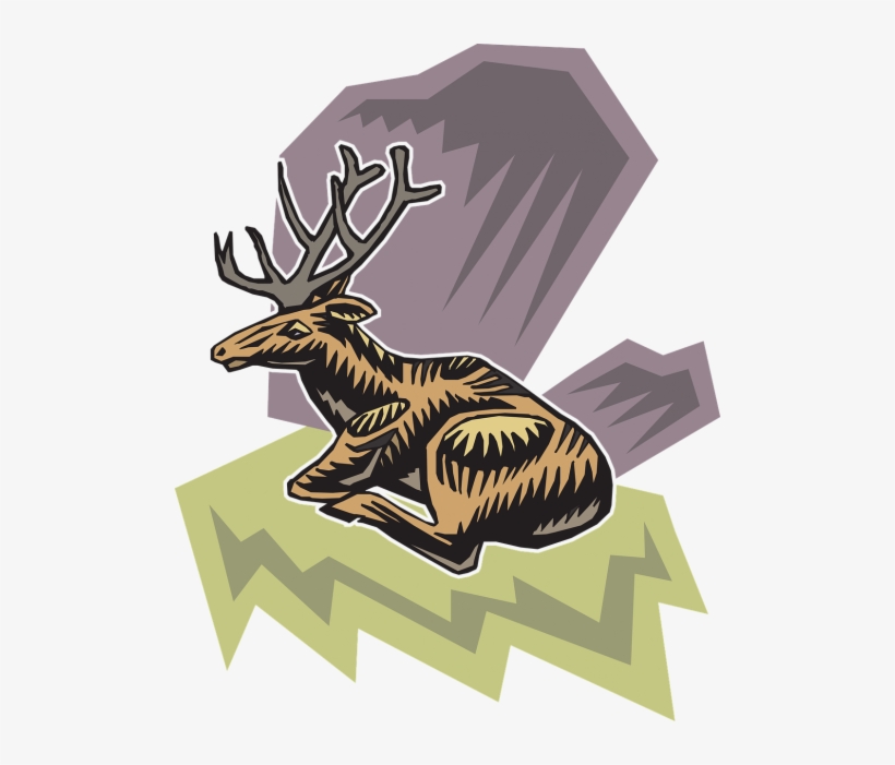 Vector - Deer, transparent png download