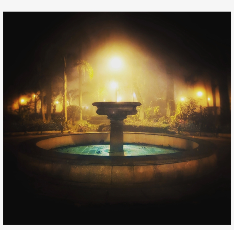 Tweet - Mist, transparent png download