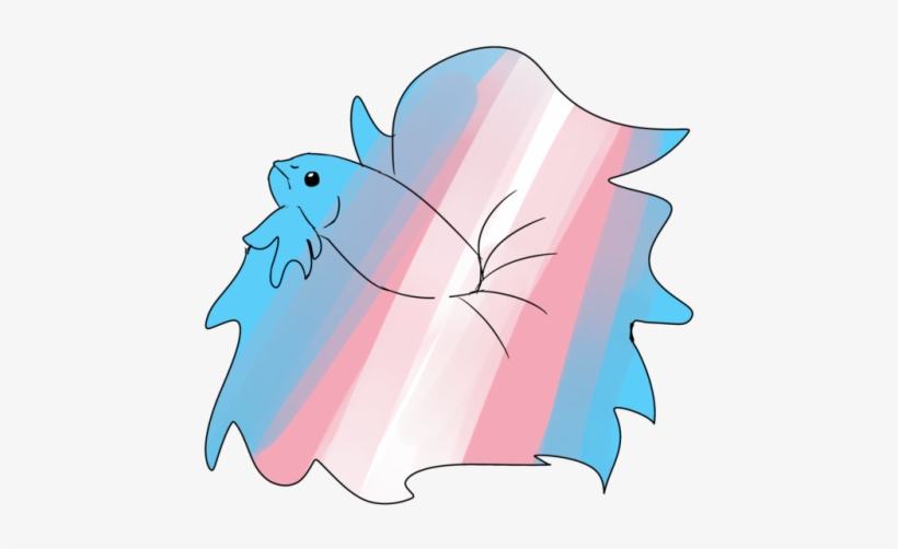 Betta Fish Pride Stickers - Tumblr, transparent png download
