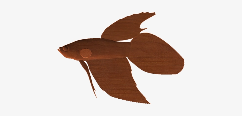 3d Fish Model, transparent png download