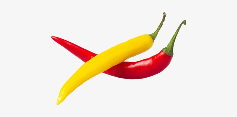 Transparent Scotch Bonnet Pepper Png, transparent png download