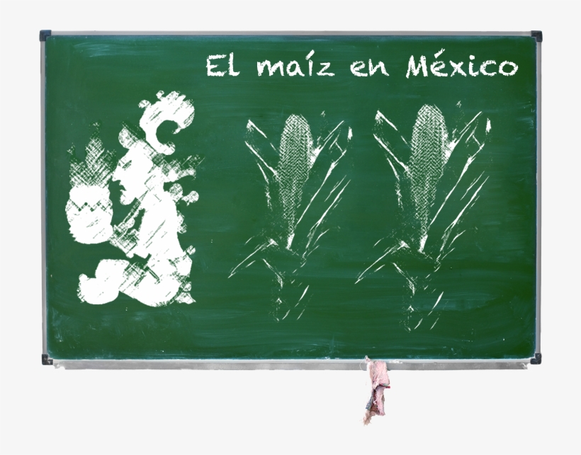 Pizarrón Con El Tema Del Maíz - Teacher, transparent png download