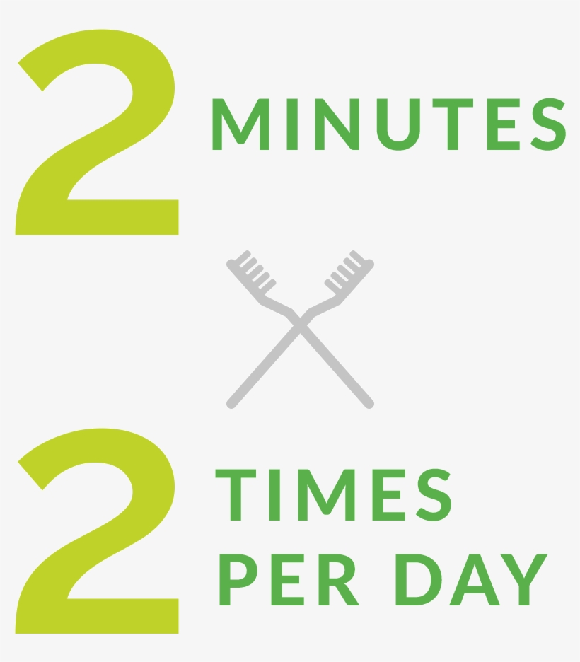 You May Remember Being Told As A Child To Brush Your - 2 Times Per Day, transparent png download