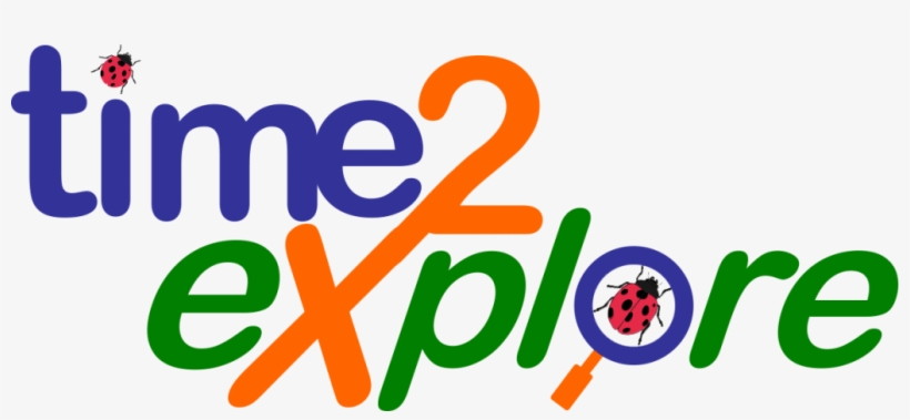 Time 2 Explore Child Care - Child, transparent png download