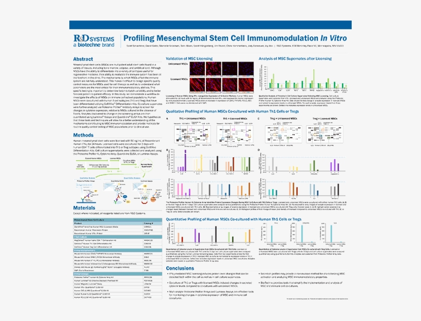Profiling Mesenchymal Stem Cell Immunomodulation In - Mesenchymal Stem Cell, transparent png download