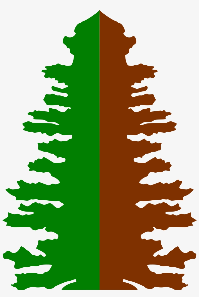 Big Image - Christmas Tree, transparent png download