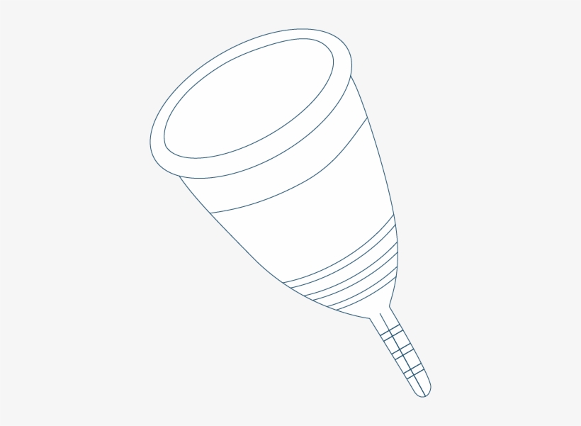 Icon Cup - Sea Dandelion Clipart Transparent, transparent png download