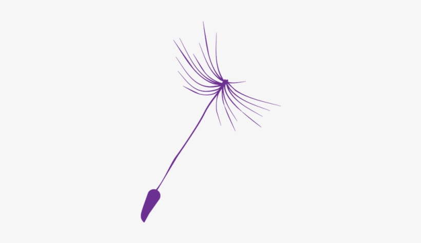 Dandelion En - Dandelion, transparent png download
